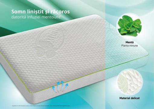 perna minty 4