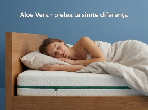 aloe comfort_1